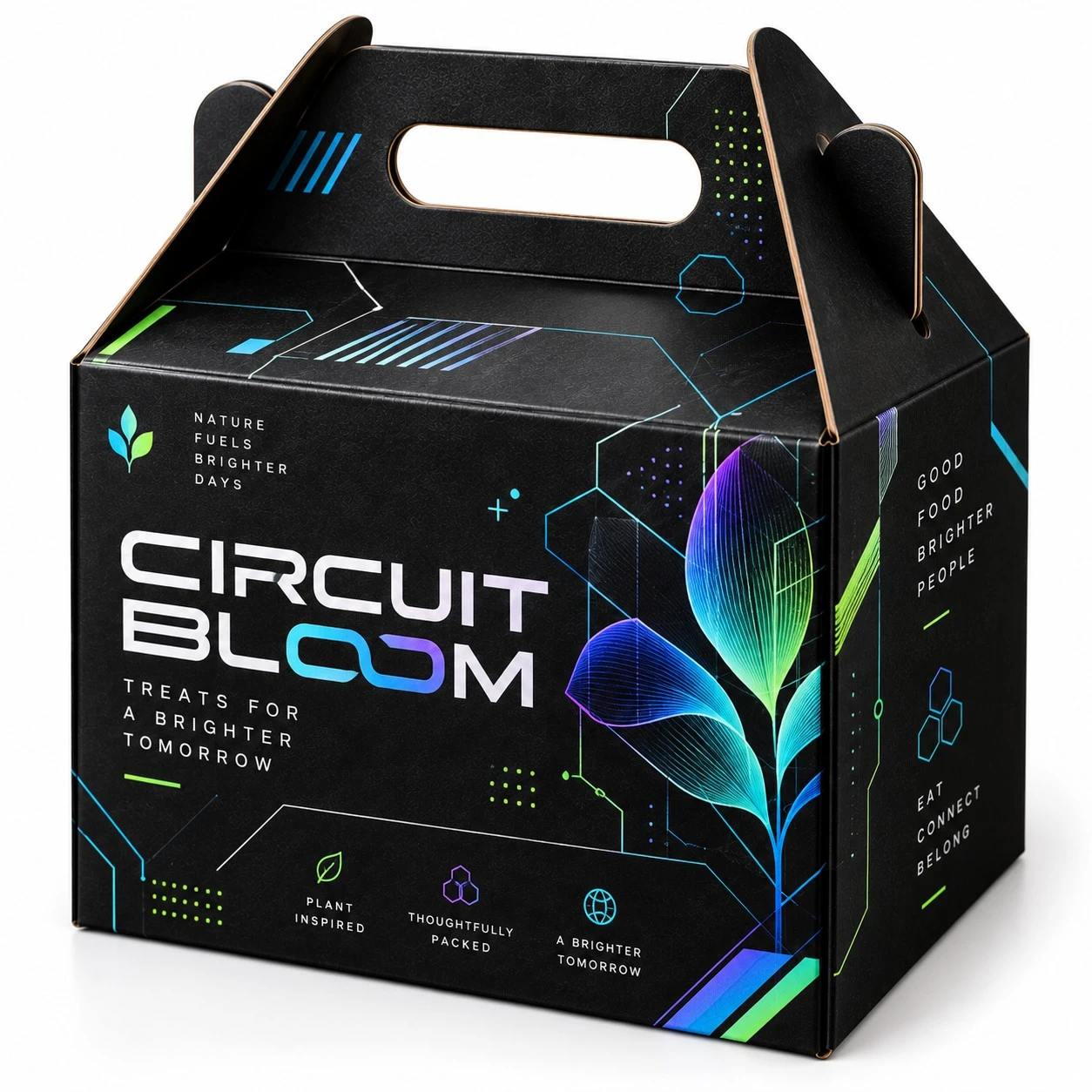 black gable box circuit bloom tech design.webp