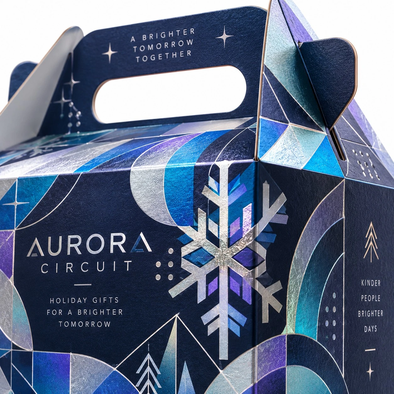 christmas gable boxes aurora circuit macro detail