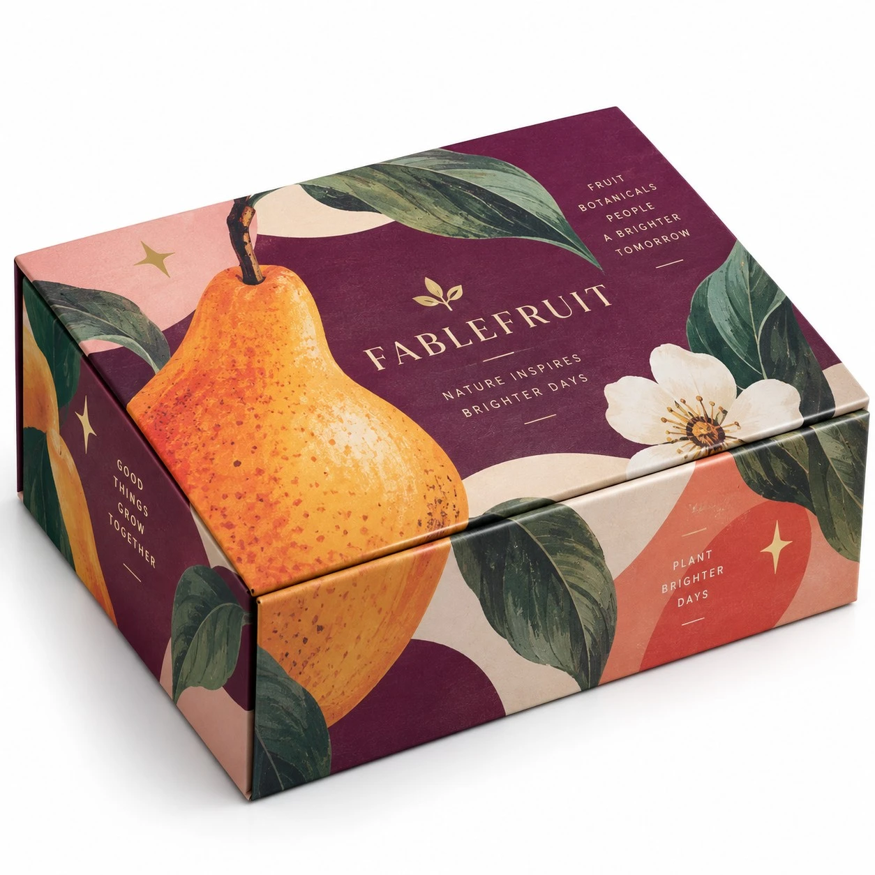 collapsible rigid boxes fablefruit illustrated design.webp