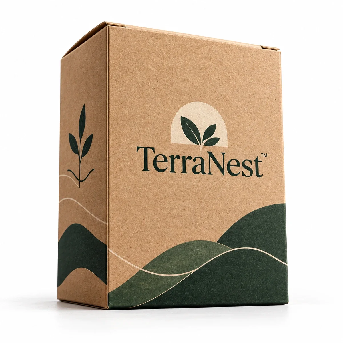 Low-angle view of a TerraNest kraft tuck top box with forest green printed artwork and visible front and side panels.