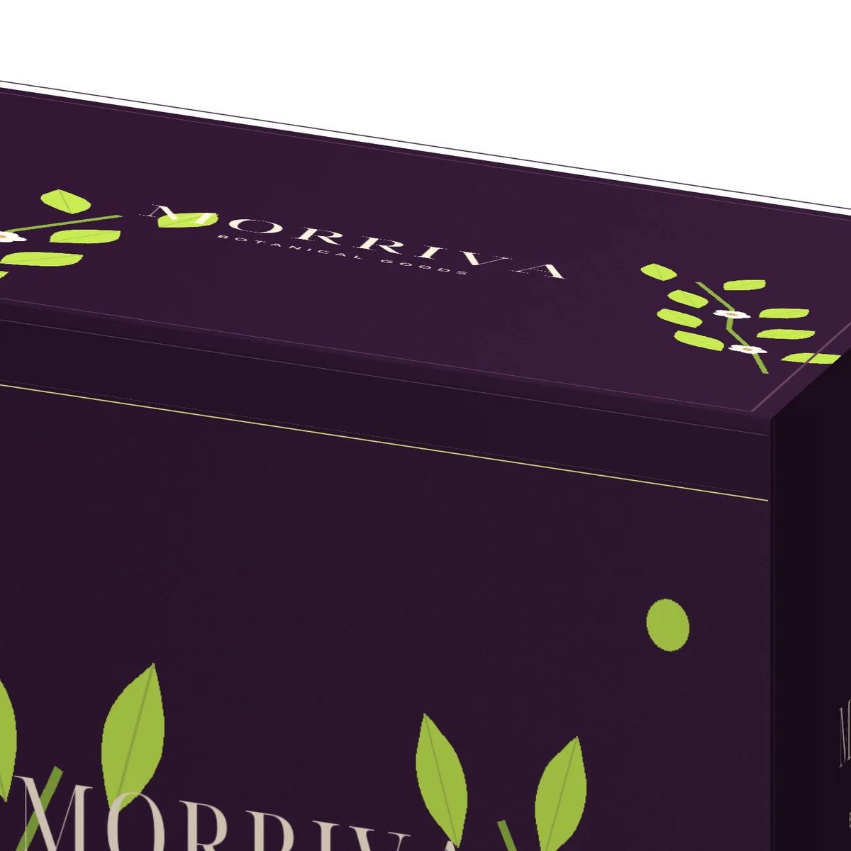 Close-up of the MORRIVA tuck flap carton showing the top fold, lid edge, cream lettering and lime botanical print.