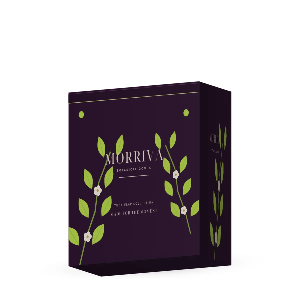 Low-angle view of the MORRIVA tuck flap carton showing its folded top edge, cream typography and lime leaf artwork.